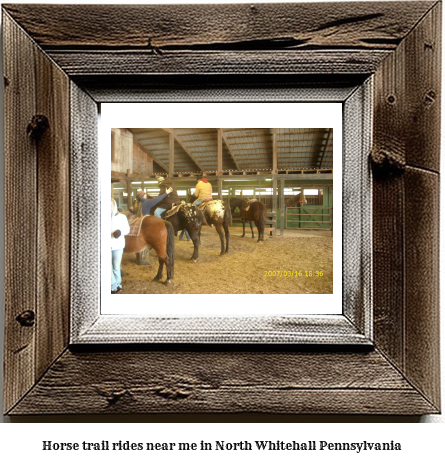 horse trail rides near me in North Whitehall, Pennsylvania